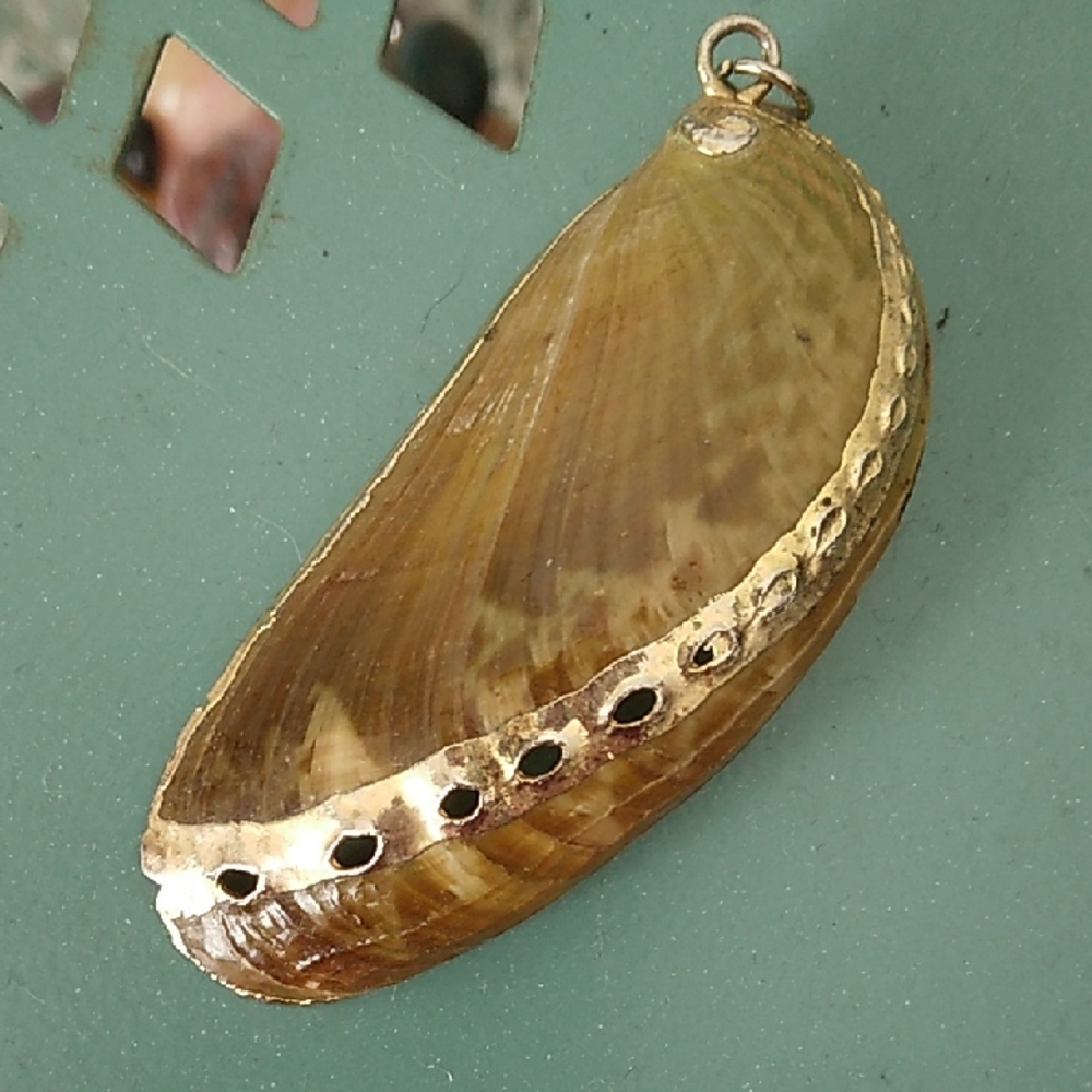Gold-Tone Abalone Shell Pendant